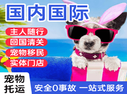 潍坊机场物流国际宠物托运 【国